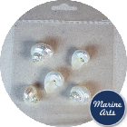 Craft Pack - Mini Pearl Silvermouth